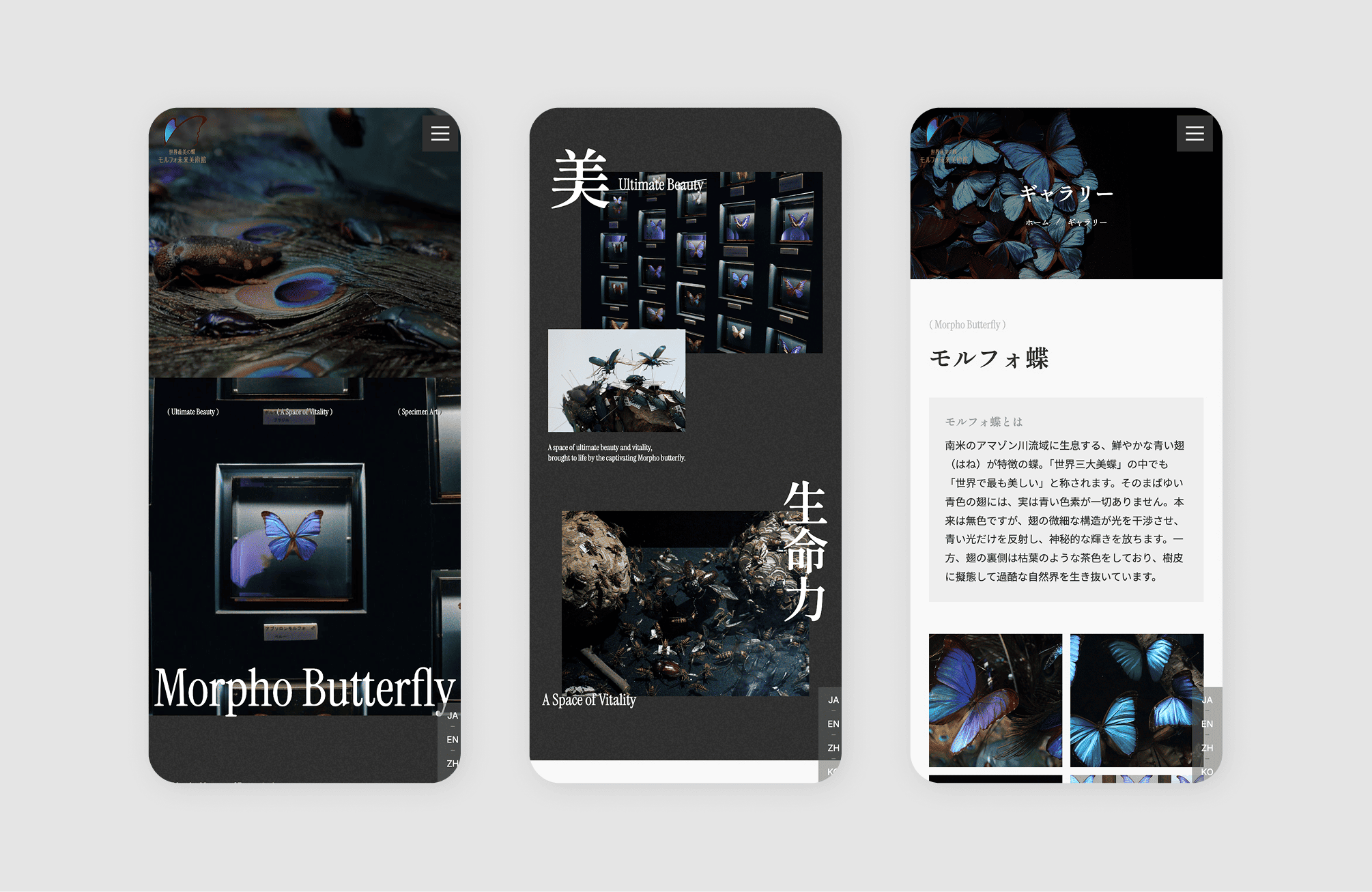 morpho-2
