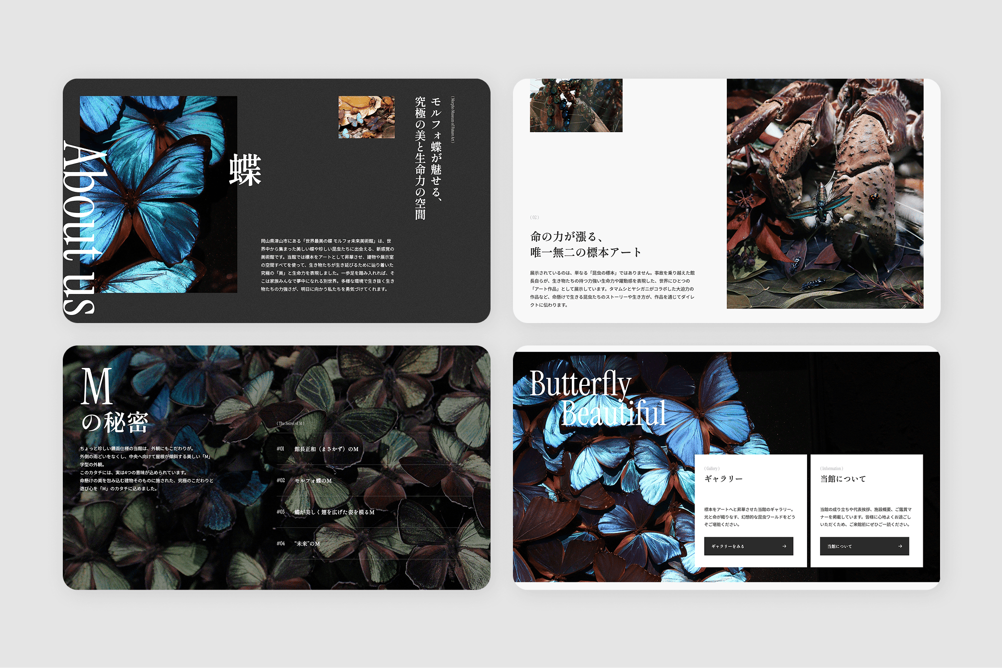 morpho-3