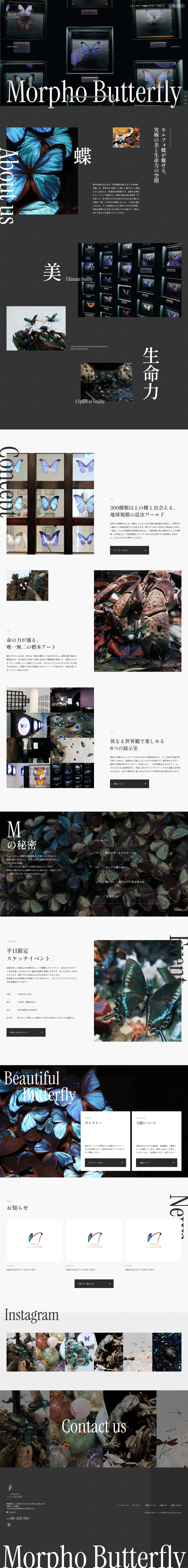 morpho-4
